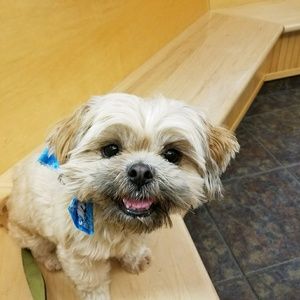 Meet your Posher, Jeff